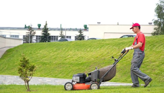 Turfworx